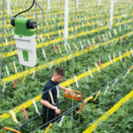 Разработчик из Нидерландов создал систему позиционирования для «умного» садоводства